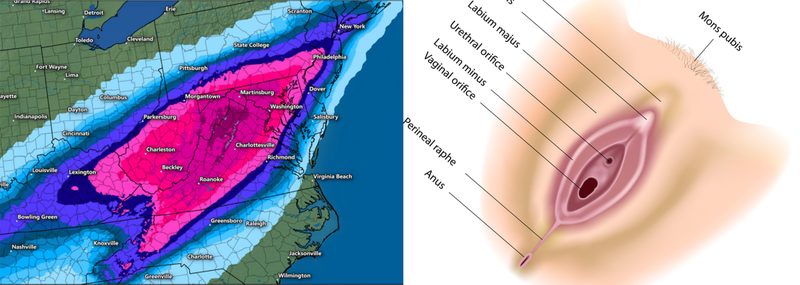 Illustration for article titled This Snowstorm Sure Looks Like Something